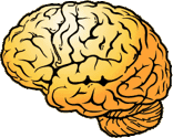 brain